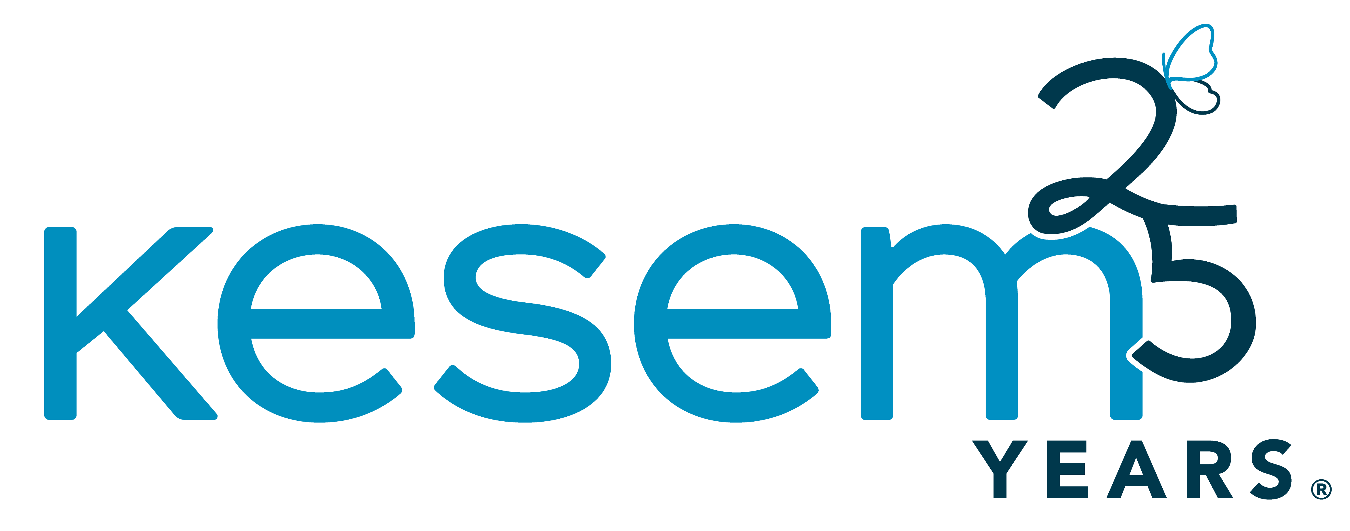 Kesem 25th Logo